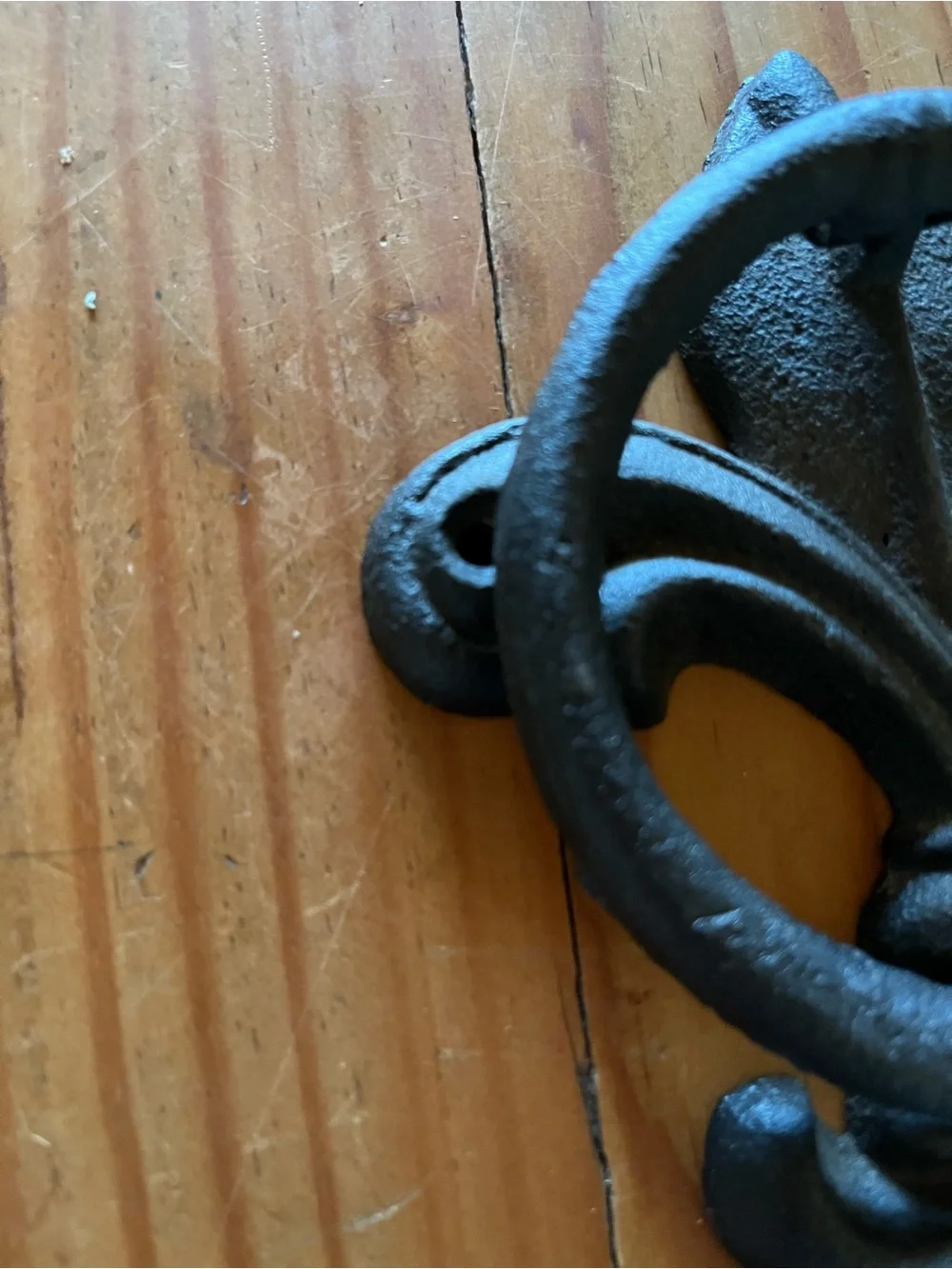 Black Cast Iron Door Knocker Fleur-de-Lis